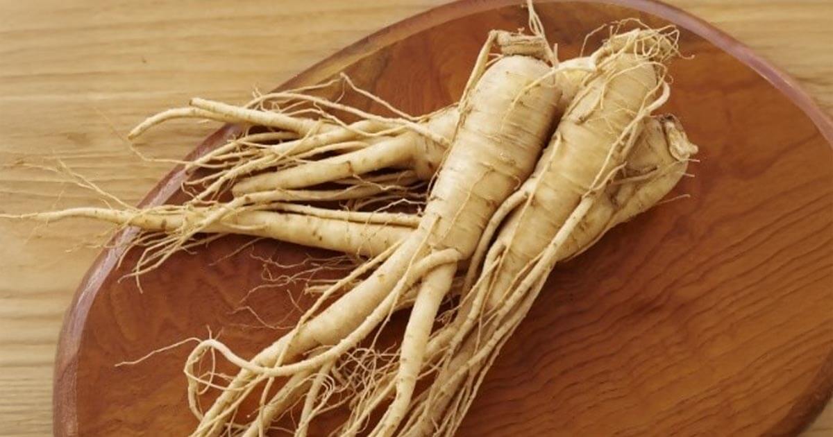【かなエール】植物工場による高麗人参の短期栽培・安定供給を目指す取り組みを支援